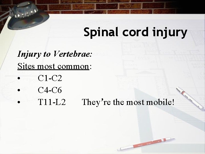 Spinal cord injury Injury to Vertebrae: Sites most common: • C 1 -C 2