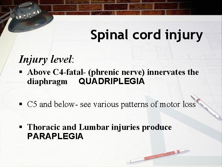 Spinal cord injury Injury level: § Above C 4 -fatal- (phrenic nerve) innervates the
