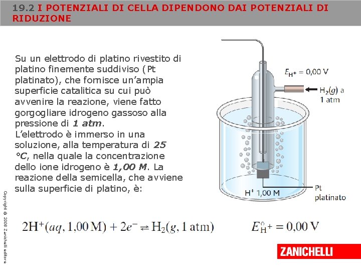 19. 2 I POTENZIALI DI CELLA DIPENDONO DAI POTENZIALI DI RIDUZIONE Copyright © 2008