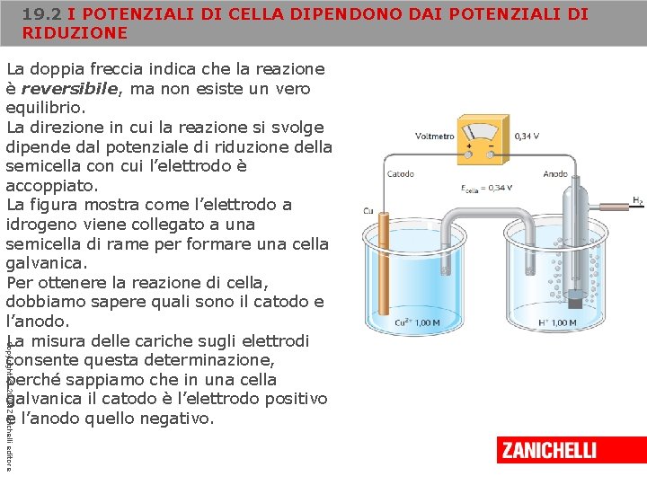 19. 2 I POTENZIALI DI CELLA DIPENDONO DAI POTENZIALI DI RIDUZIONE Copyright © 2008