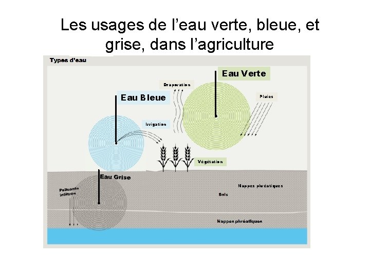 Les usages de l’eau verte, bleue, et grise, dans l’agriculture Eau Verte Evaporation Eau