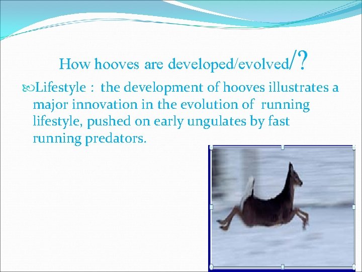How hooves are developed/evolved /? Lifestyle : the development of hooves illustrates a major