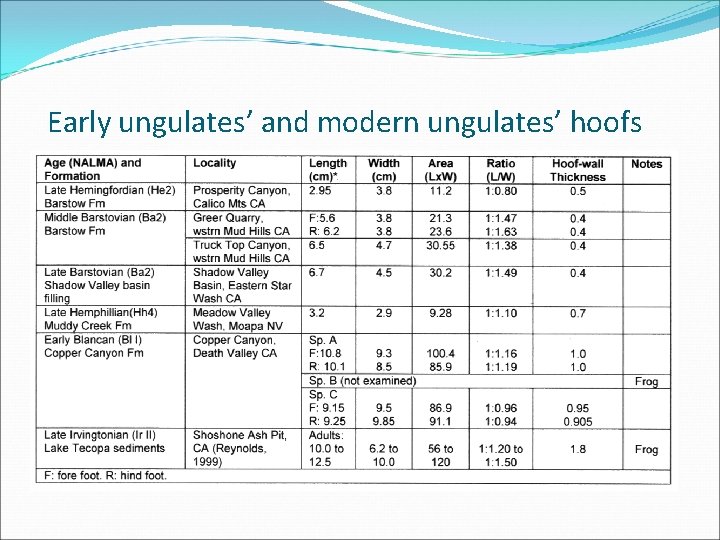 Early ungulates’ and modern ungulates’ hoofs 