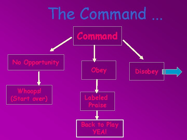 The Command. . . Command No Opportunity Whoops! (Start over) Obey Labeled Praise Back