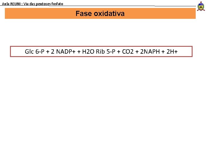 Aula REUNI : Via das pentoses fosfato Fase oxidativa Glc 6 -P + 2