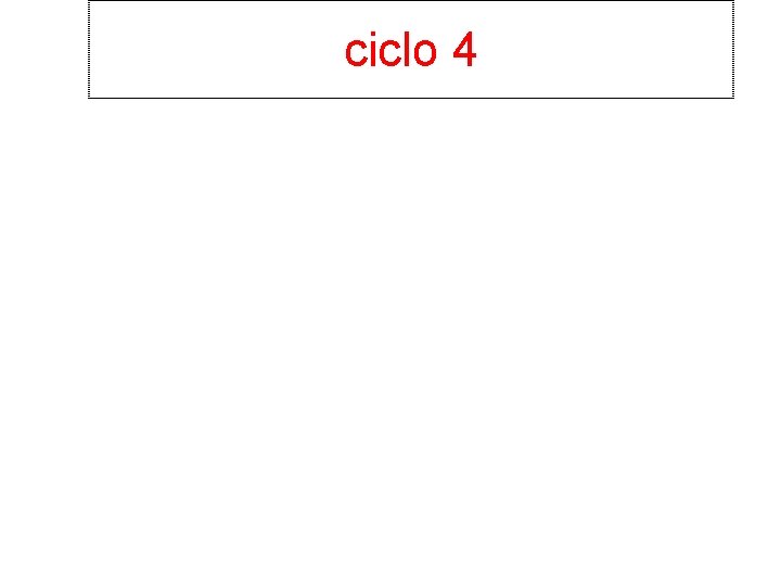 ciclo 4 