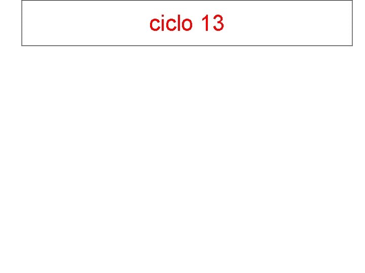 ciclo 13 