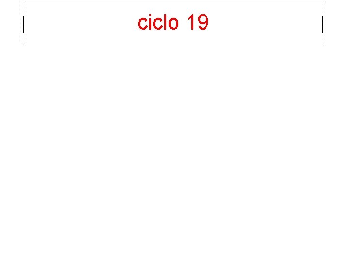 ciclo 19 