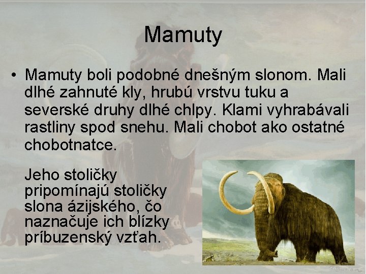 Mamuty • Mamuty boli podobné dnešným slonom. Mali dlhé zahnuté kly, hrubú vrstvu tuku