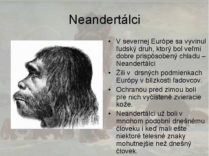 Neandertálci • V severnej Európe sa vyvinul ľudský druh, ktorý bol veľmi dobre prispôsobený