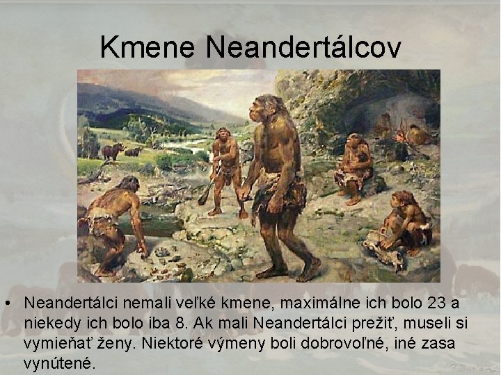 Kmene Neandertálcov • Neandertálci nemali veľké kmene, maximálne ich bolo 23 a niekedy ich