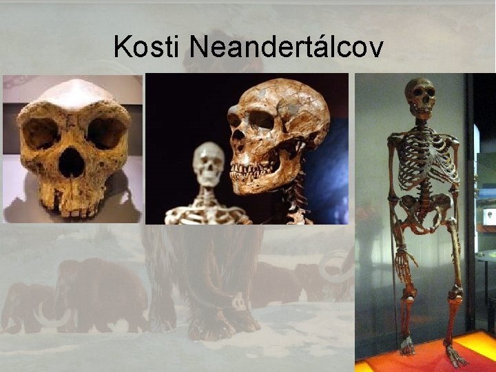 Kosti Neandertálcov 