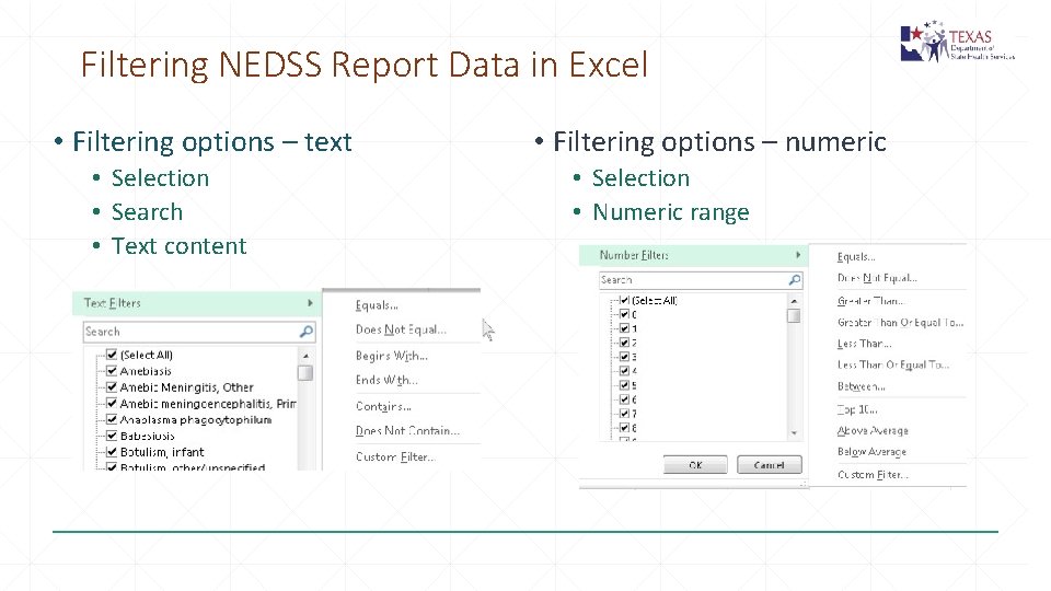 Filtering NEDSS Report Data in Excel • Filtering options – text • Selection •