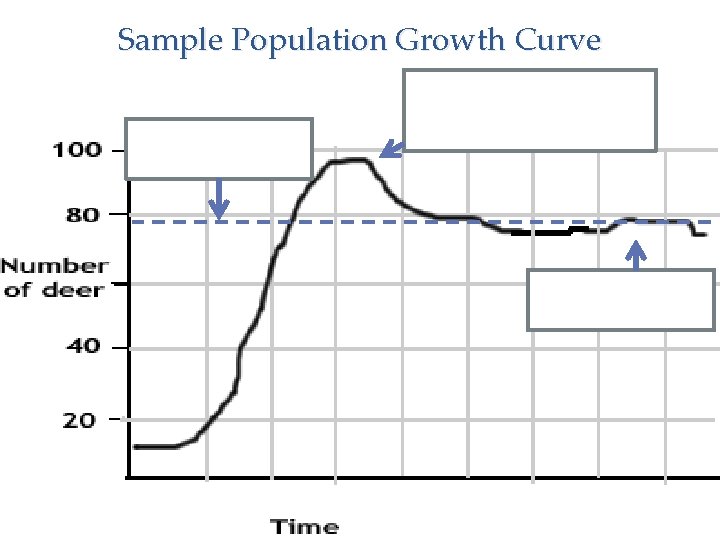 Sample Population Growth Curve 