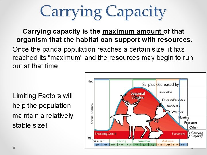 Carrying Capacity Carrying capacity is the maximum amount of that organism that the habitat