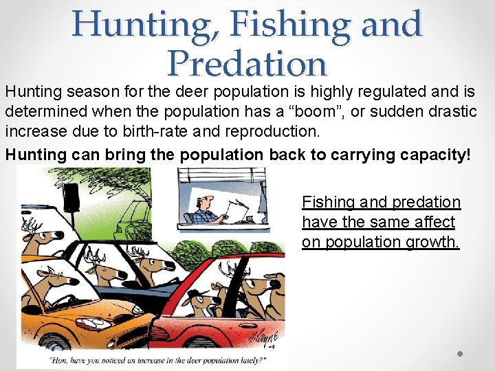 Hunting, Fishing and Predation Hunting season for the deer population is highly regulated and