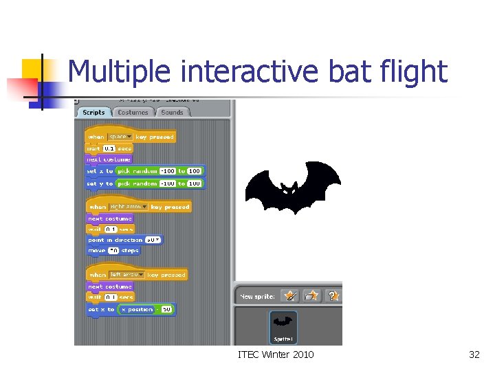 Multiple interactive bat flight ITEC Winter 2010 32 