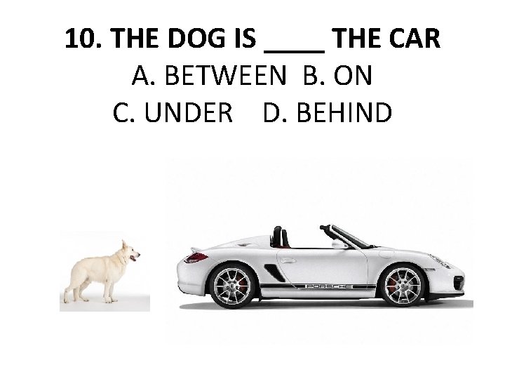 10. THE DOG IS ____ THE CAR A. BETWEEN B. ON C. UNDER D.