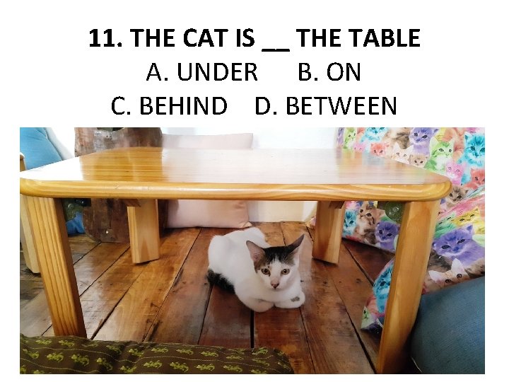 11. THE CAT IS __ THE TABLE A. UNDER B. ON C. BEHIND D.