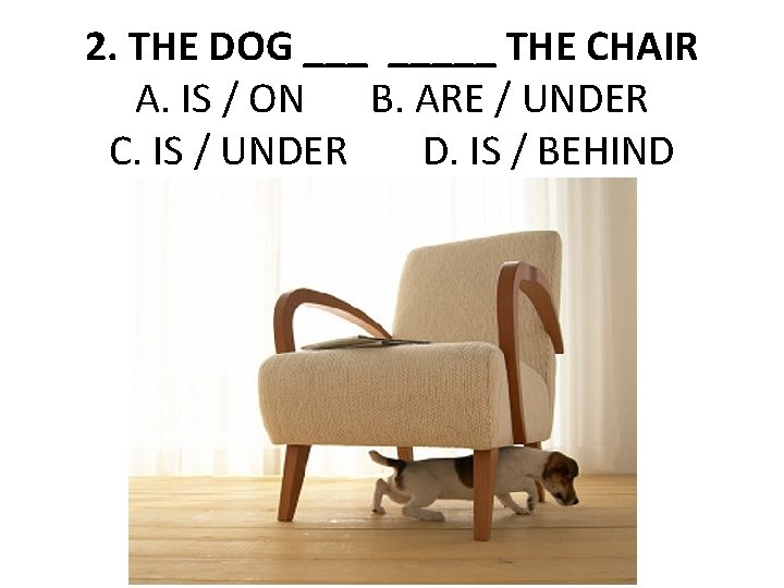 2. THE DOG _____ THE CHAIR A. IS / ON B. ARE / UNDER