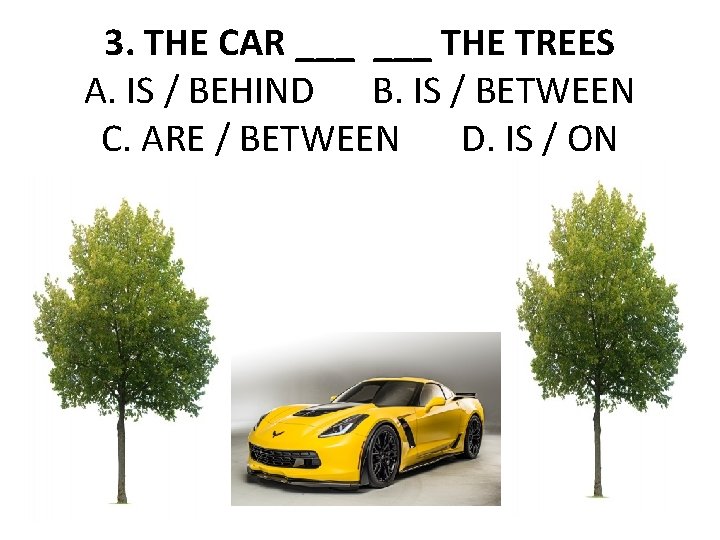 3. THE CAR ___ THE TREES A. IS / BEHIND B. IS / BETWEEN