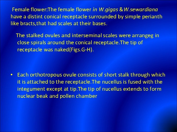 Female flower: The female flower in W. gigas &W. sewardiana have a distint conical