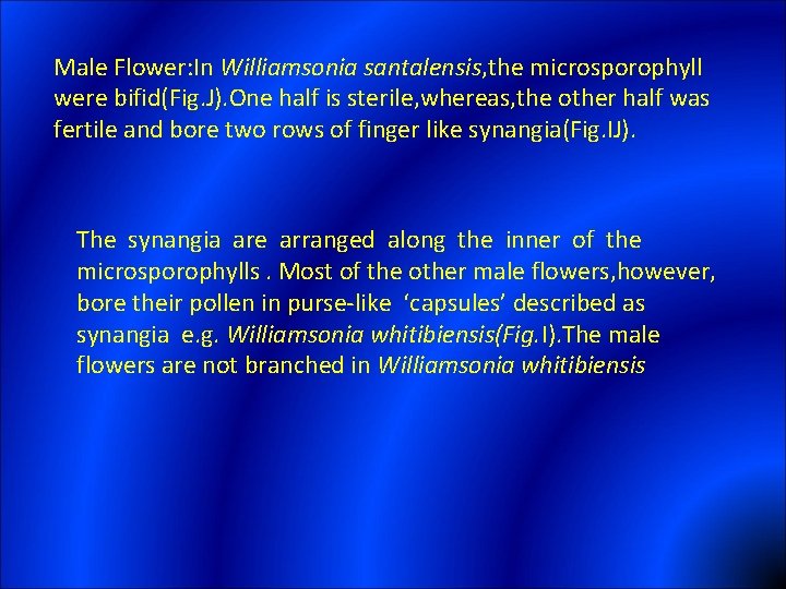 Male Flower: In Williamsonia santalensis, the microsporophyll were bifid(Fig. J). One half is sterile,