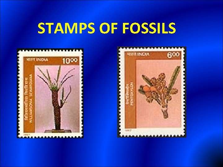 STAMPS OF FOSSILS 
