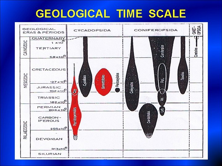 GEOLOGICAL TIME SCALE 