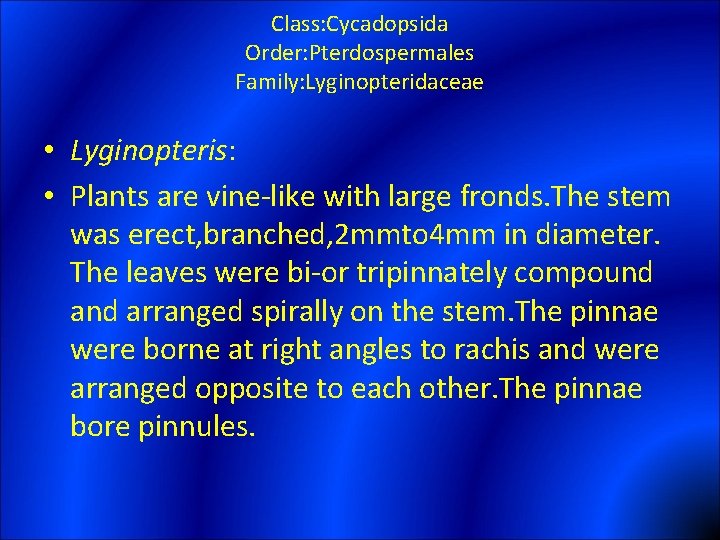 Class: Cycadopsida Order: Pterdospermales Family: Lyginopteridaceae • Lyginopteris: • Plants are vine-like with large