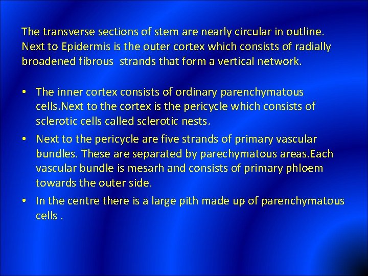The transverse sections of stem are nearly circular in outline. Next to Epidermis is