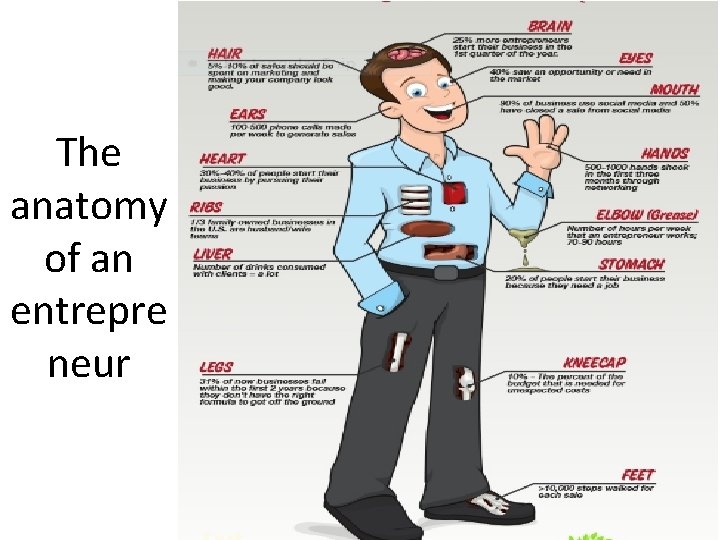 The anatomy of an entrepre neur The anatomy of an entrepre neur