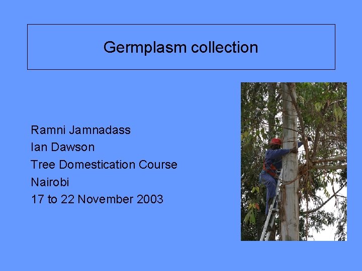 Germplasm collection Ramni Jamnadass Ian Dawson Tree Domestication Course Nairobi 17 to 22 November