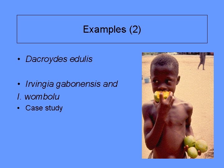 Examples (2) • Dacroydes edulis • Irvingia gabonensis and I. wombolu • Case study