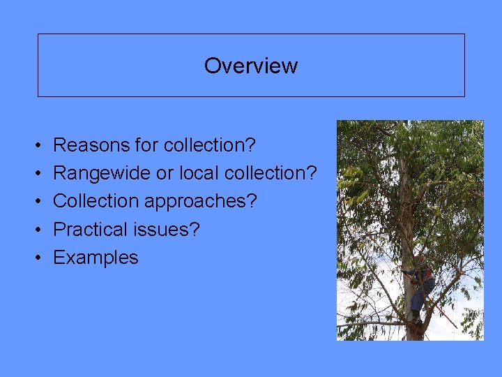 Overview • • • Reasons for collection? Rangewide or local collection? Collection approaches? Practical