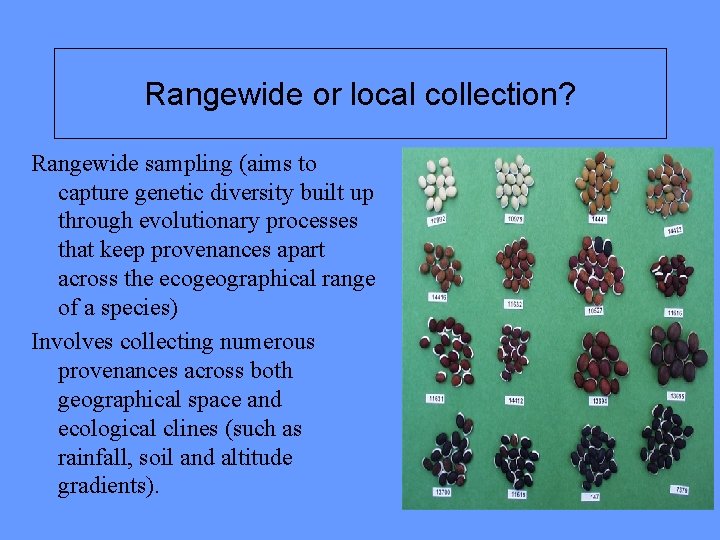 Rangewide or local collection? Rangewide sampling (aims to capture genetic diversity built up through