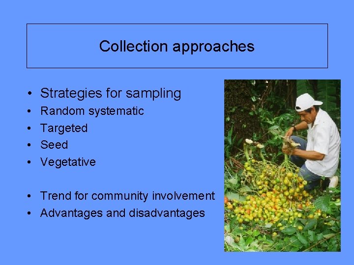 Collection approaches • Strategies for sampling • • Random systematic Targeted Seed Vegetative •