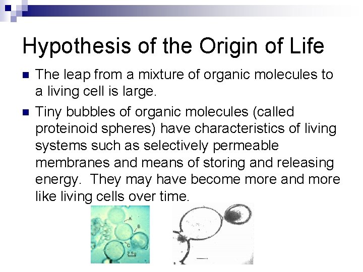 Hypothesis of the Origin of Life n n The leap from a mixture of