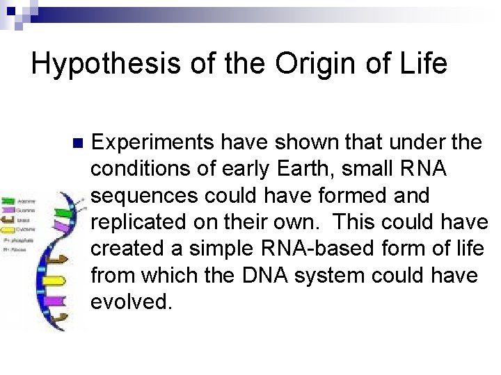 Hypothesis of the Origin of Life n Experiments have shown that under the conditions