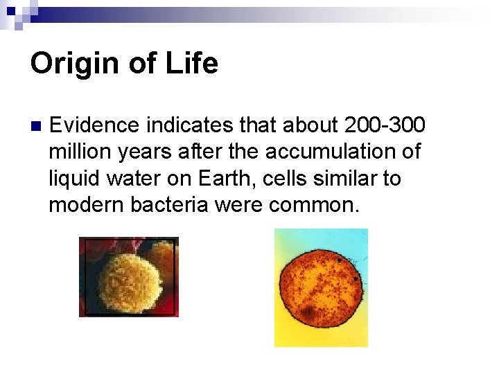 Origin of Life n Evidence indicates that about 200 -300 million years after the