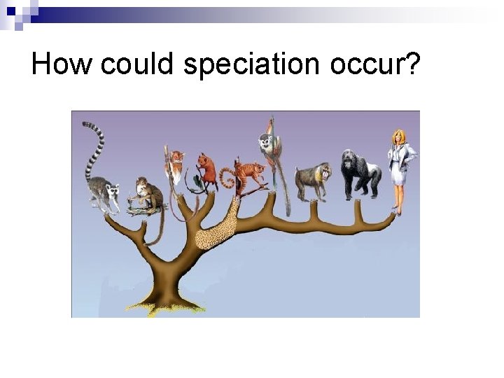 How could speciation occur? 