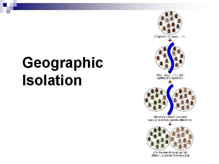 Geographic Isolation 