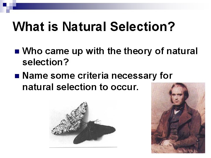 What is Natural Selection? Who came up with theory of natural selection? n Name