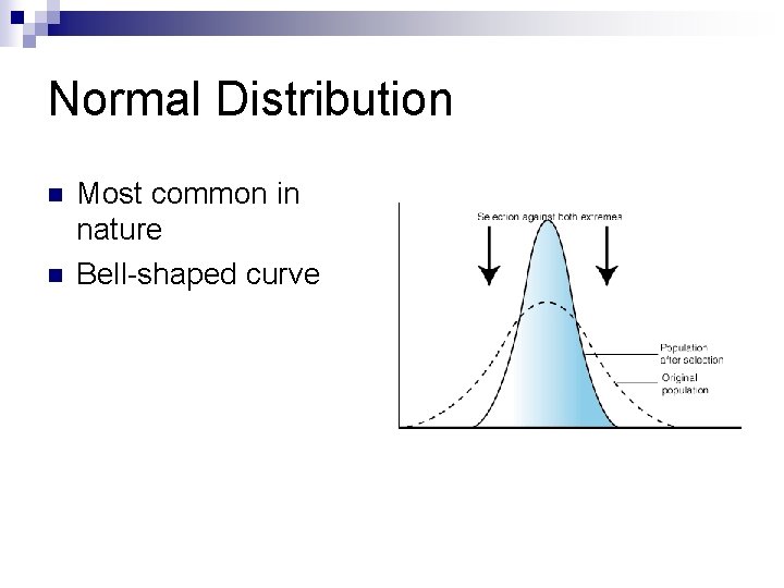 Normal Distribution n n Most common in nature Bell-shaped curve 