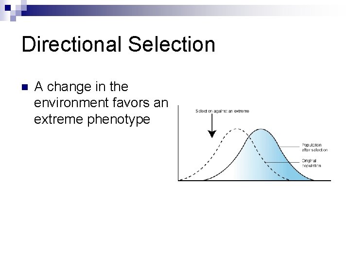 Directional Selection n A change in the environment favors an extreme phenotype 