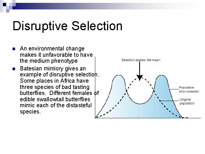 Disruptive Selection n n An environmental change makes it unfavorable to have the medium