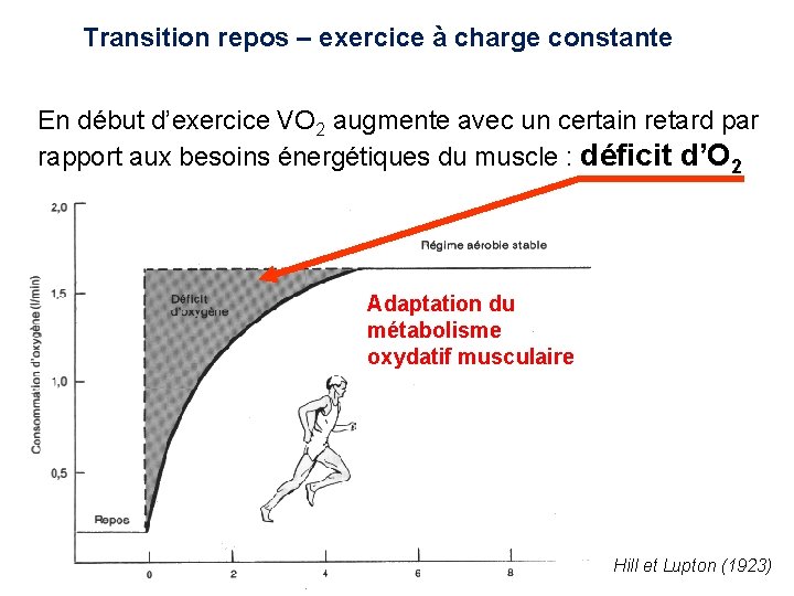 r. Hu. EPO ET CINETIQUE Transition repos – exercice à charge constante DE VO