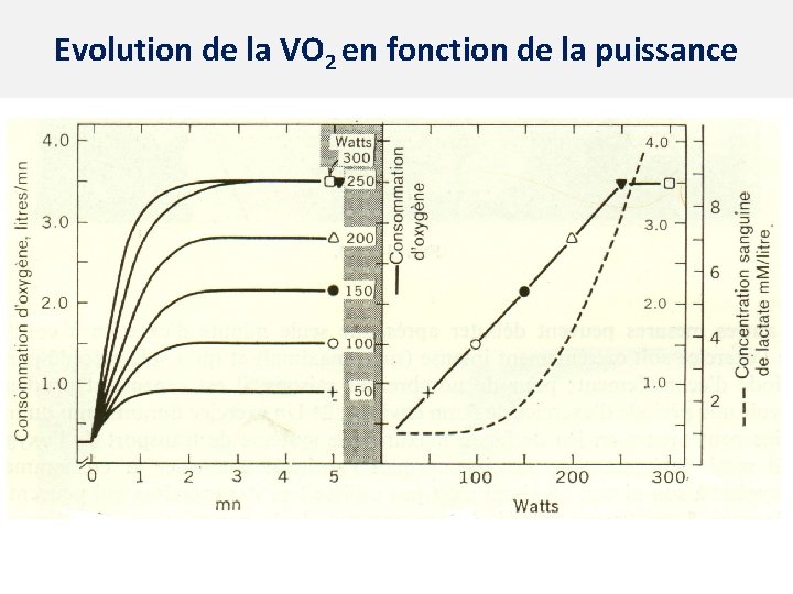 Evolution de la VO 2 en fonction de la puissance 