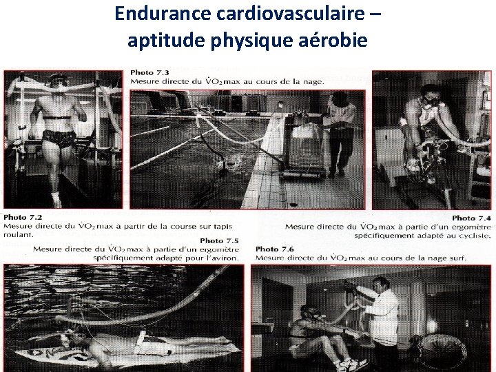Endurance cardiovasculaire – aptitude physique aérobie CM 1 