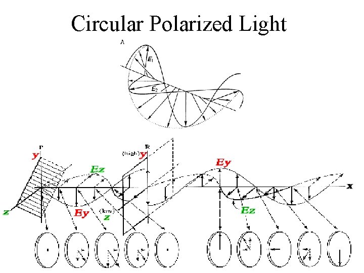 Circular Polarized Light 